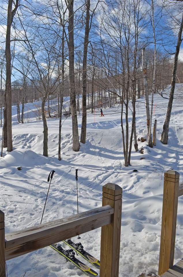 58 Harrison Ln unit K-206, Ludlow, VT 05149 - photo 3