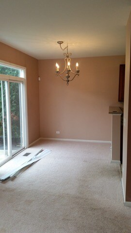 749 S Jade Ln unit 205, Round Lake, IL 60073 - photo 4