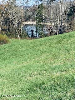 IMG_0907