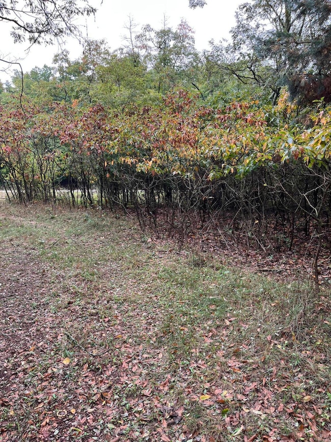 0 65th St, Holland, MI 49423 - photo 6