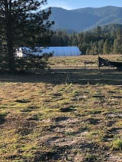 IMG_3446