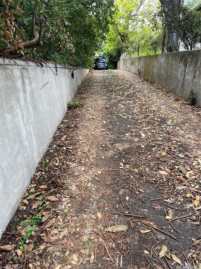 driveway leading to the house from the street.  wa