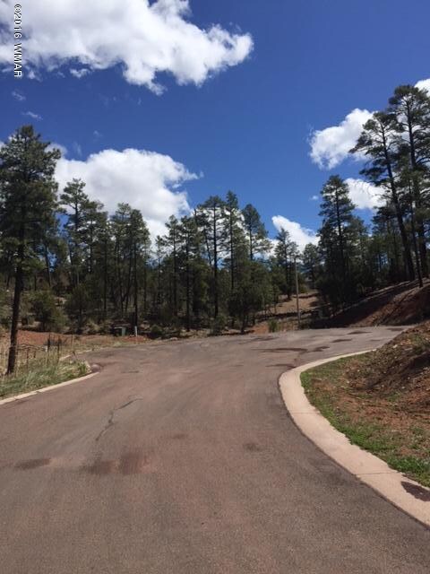 4650 S Manzanita Way, Show Low, AZ 85901 - photo 7