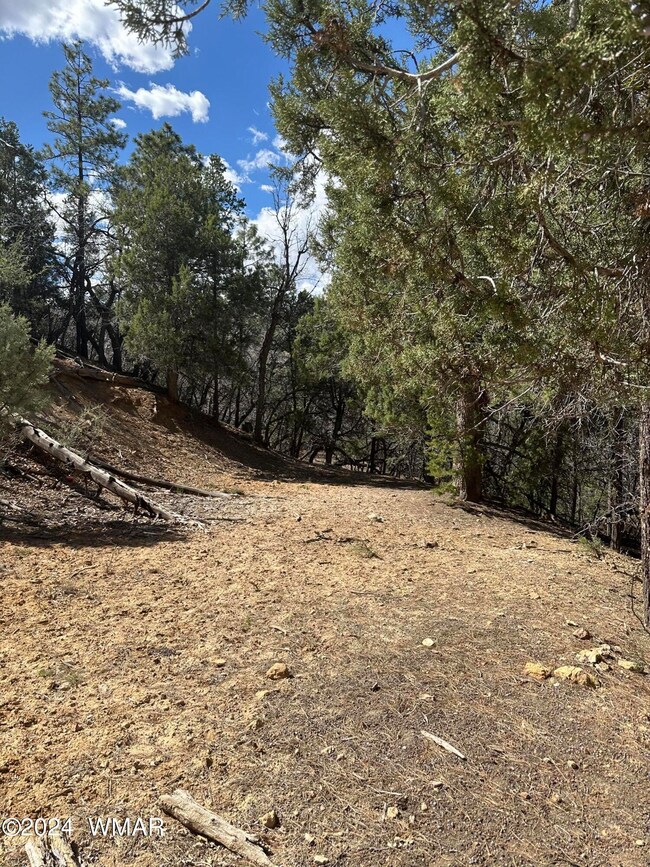 IMG_4629 Looking N from driveway