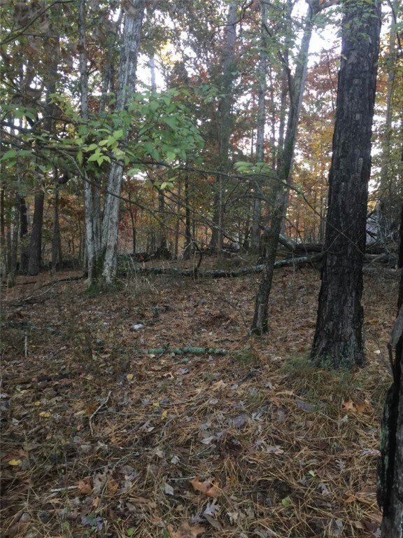 0 Iffley Ln, Bella Vista, AR 72714 - photo 2