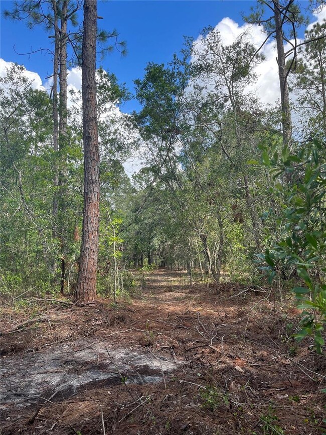 4613 Kola Rd, New Smyrna Beach, FL 32168 - photo 3