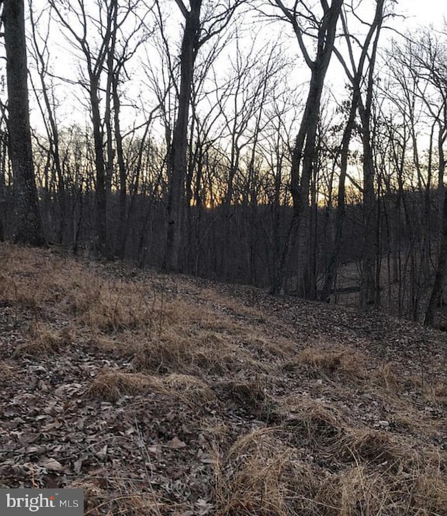 Lot 31 Mt Vista Trail, Harpers Ferry, WV 25425 - photo 4