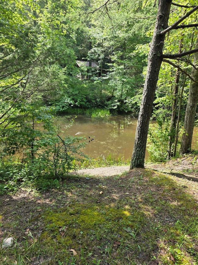 0 Buell Ln, Speedwell, TN 37870 - photo 4