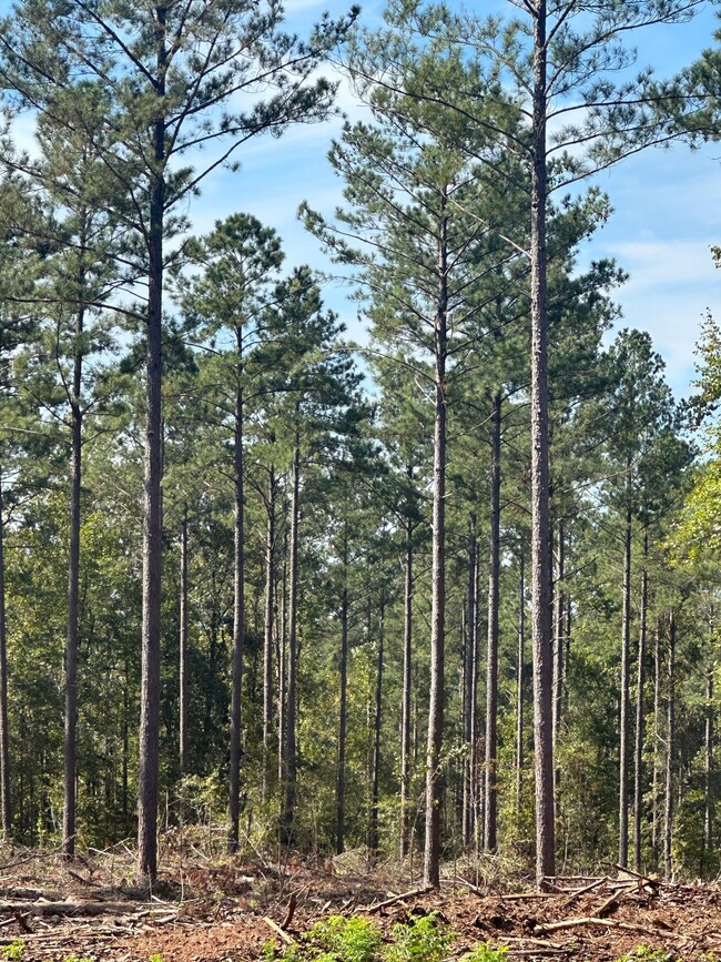 0 Seven Islands Rd unit 22542831, Madison, GA 30650 - photo 7