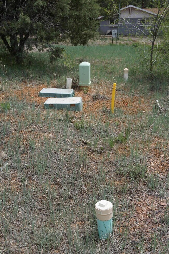 781 Bushman, Show Low, AZ 85901 - photo 3