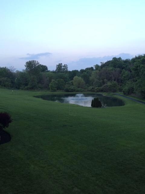 Pond