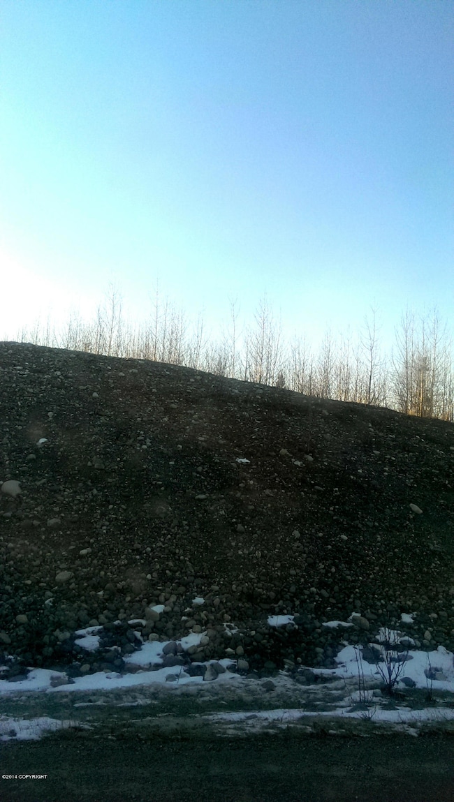 IMAG0600_1