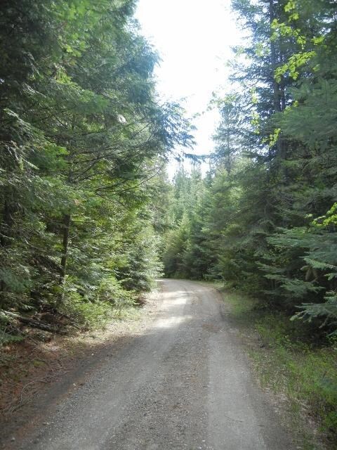 1895 Blue Creek Rd W, Chewelah, WA 99109 - photo 3