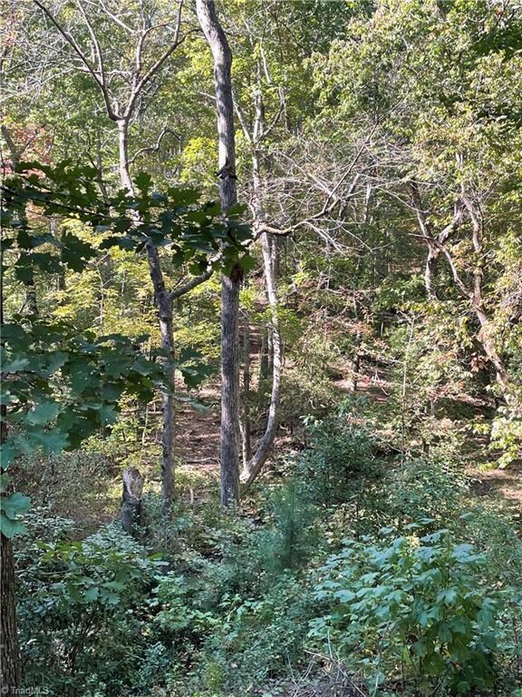 1042 Foggy Mountain Rd, Asheboro, NC 27205 - photo 3