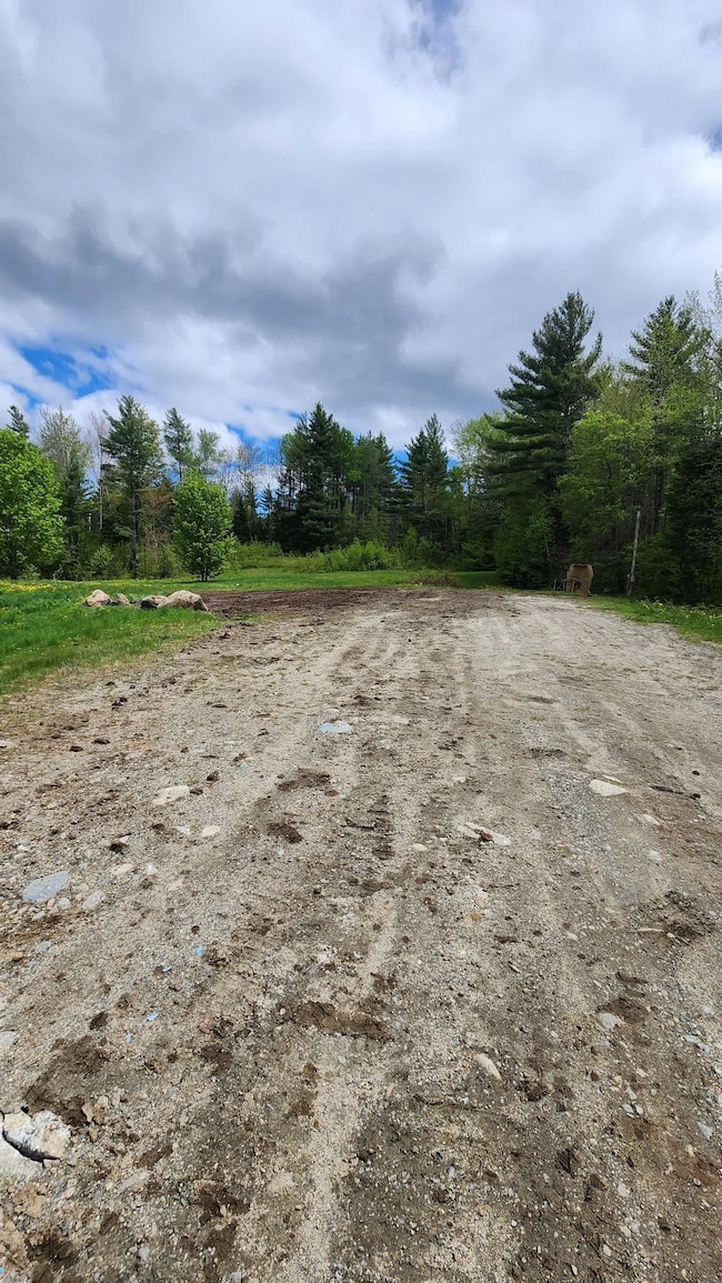 348 Parker Rd, Carroll, NH 03598 - photo 3