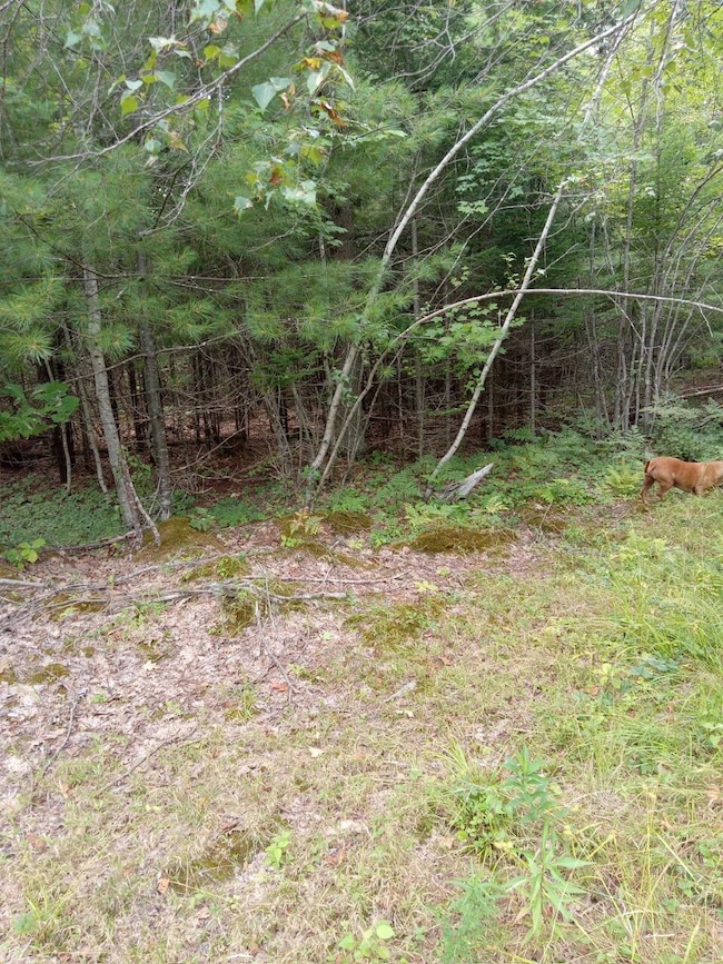 image000000(10)