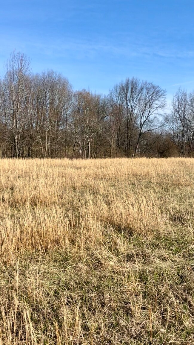 0 Halltown Rd, Portland, TN 37148 - photo 7