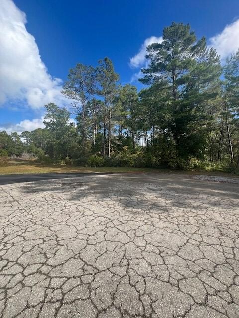 1014 Sunset Cir, Carrabelle, FL 32322 - photo 6