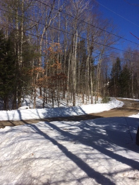 29 Eileen Place, Sanbornville, NH 03872 - photo 2