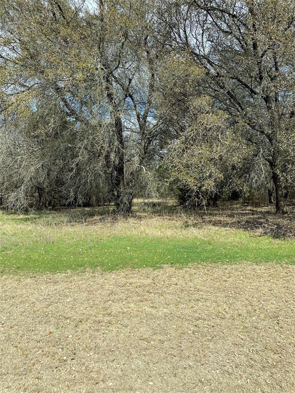 26012 Woodacre Rd, Whitney, TX 76692 - photo 3