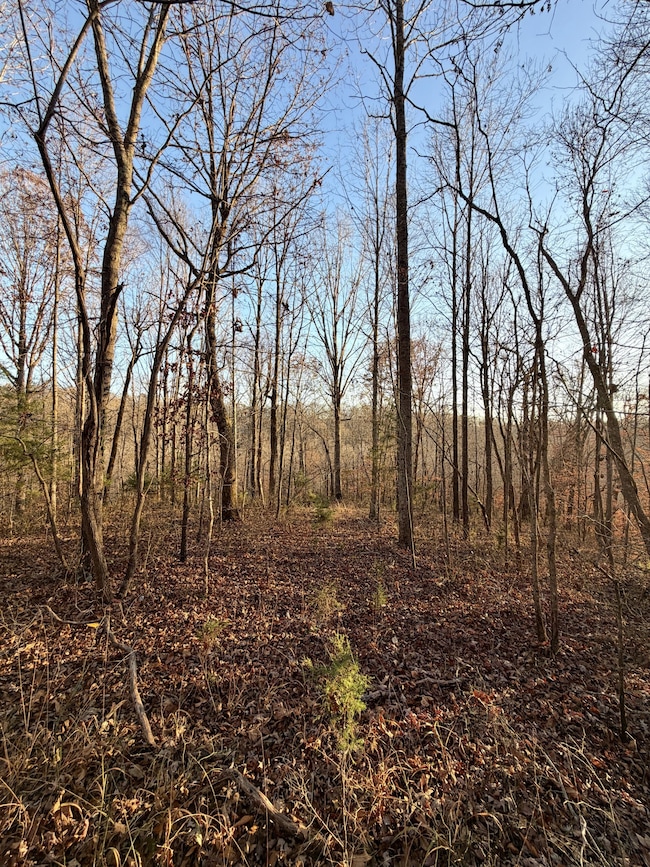 1 Amber Dr, Ashland City, TN 37015 - photo 3