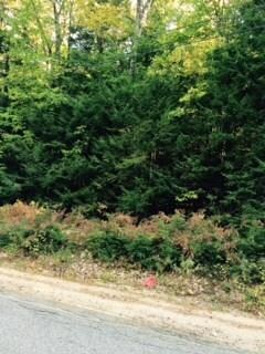 0 Burnham Rd unit 1240721, Bridgton, ME 04009 - photo 4