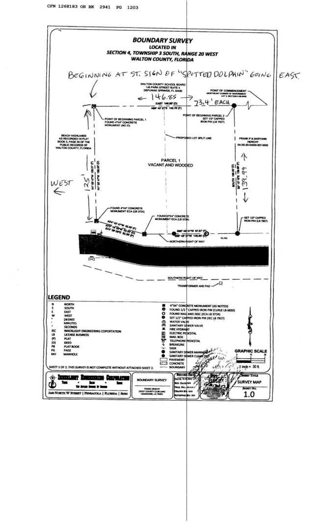 Spotted Dolphin plat