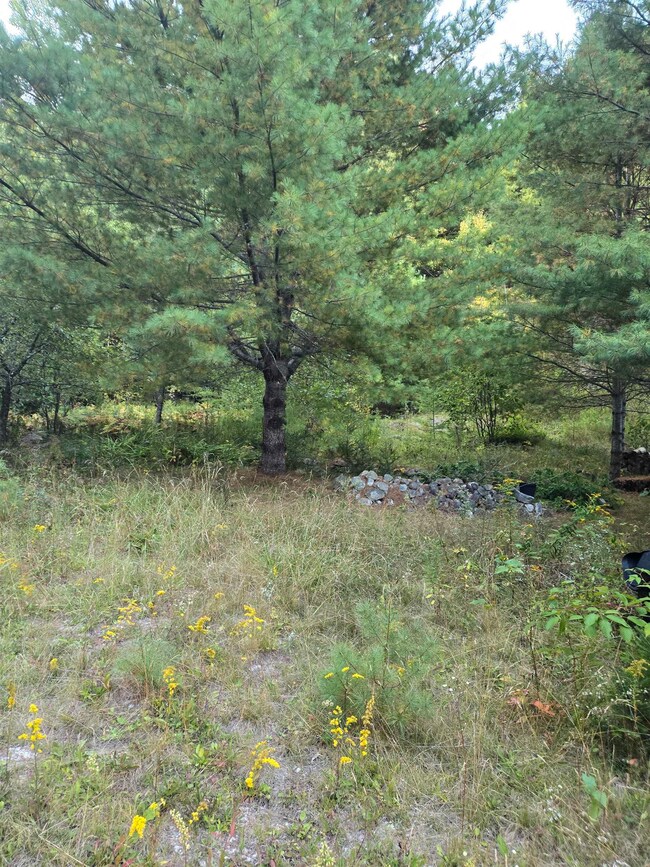 1058 Red Brook Rd, Groton, VT 05046 - photo 7