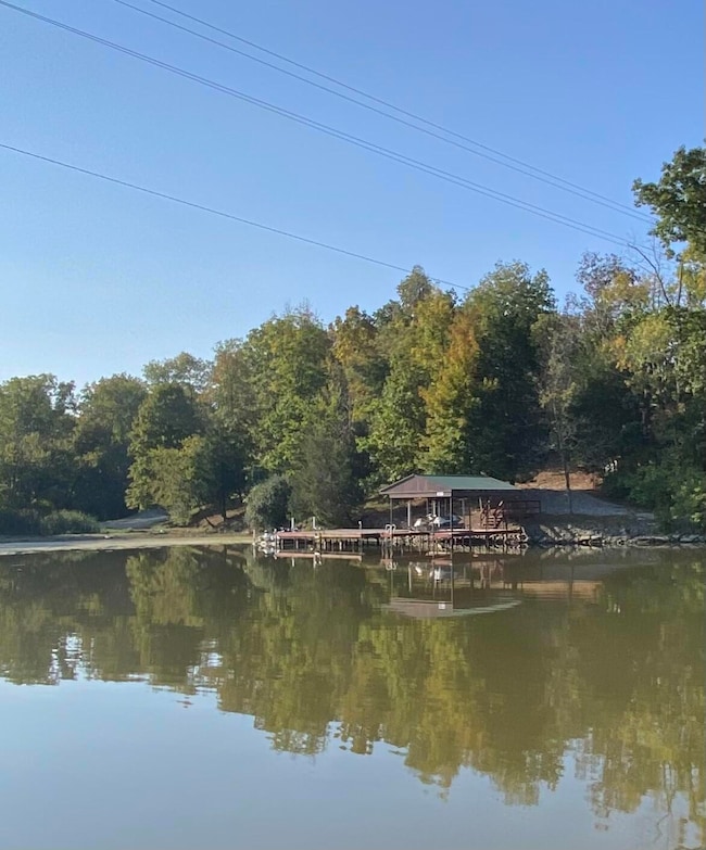 10.60 AC Swanee Shores Dr, Williamstown, KY 41097 - photo 4