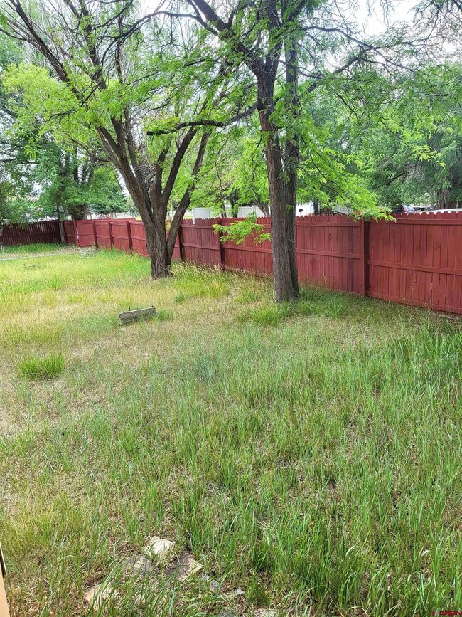 885 Main St, Nucla, CO 81424 - photo 6