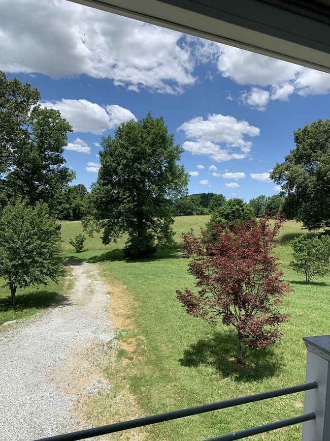 View from the balcony