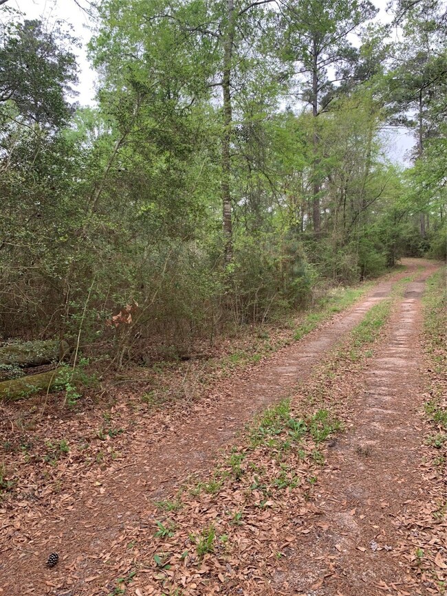 00001 Coe Loop, Magnolia, TX 77355 - photo 6