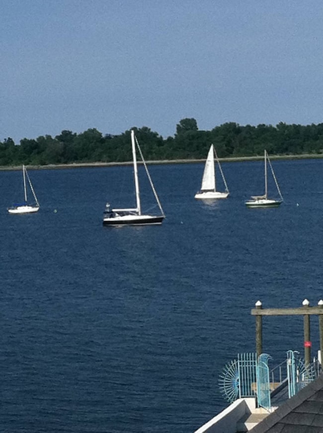 244 Bowne St unit 1st Floor, Bronx, NY 10464 - photo 5