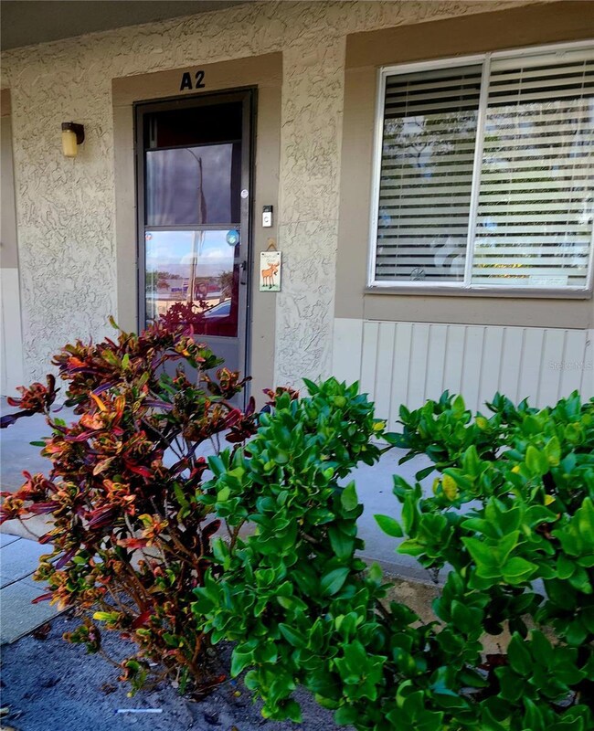 6328 Newtown Cir unit 28A2, Tampa, FL 33615 - photo 3