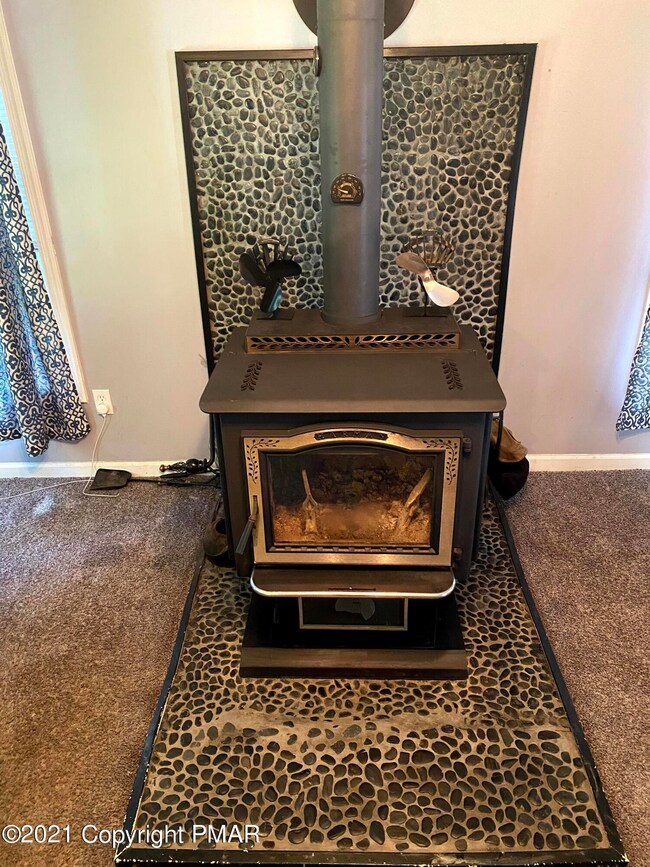 Pellet Stove