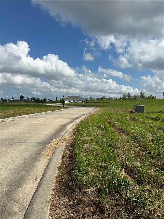Road to Large Levee Lot
