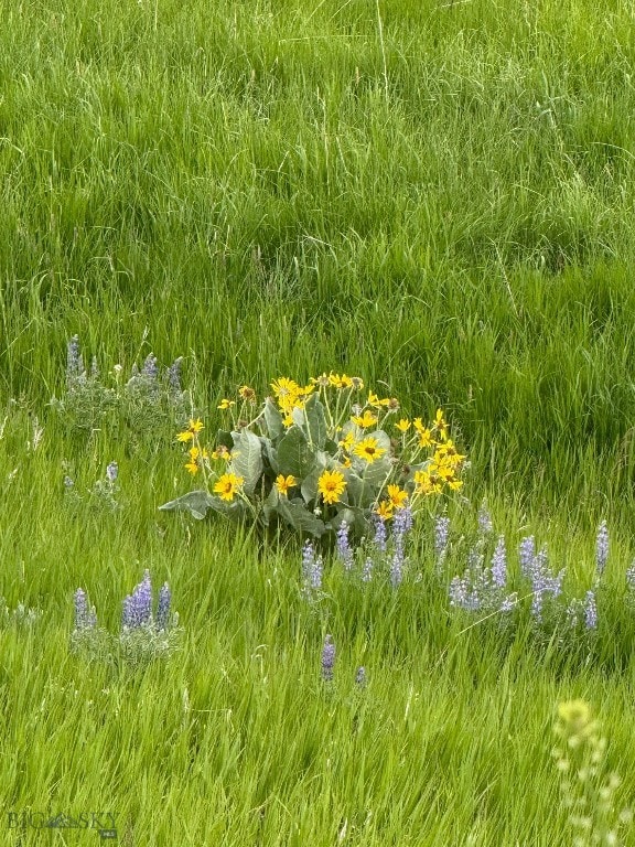 855 Deer Path, Bozeman, MT 59718 - photo 3