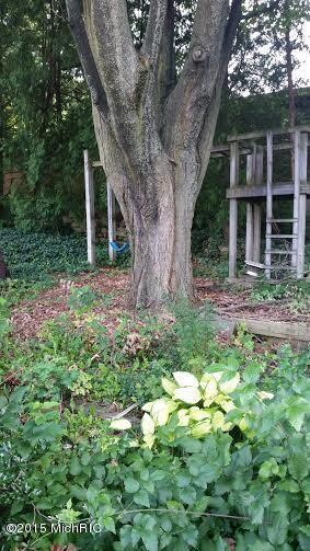 Back of lot, tree house