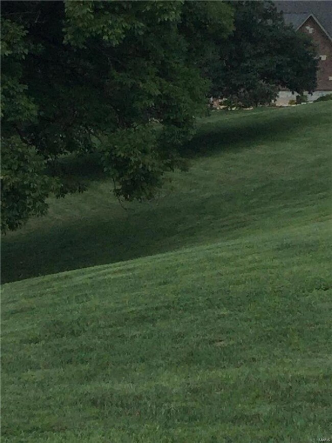 7 Brookewood Dr, Caseyville, IL 62232 - photo 4