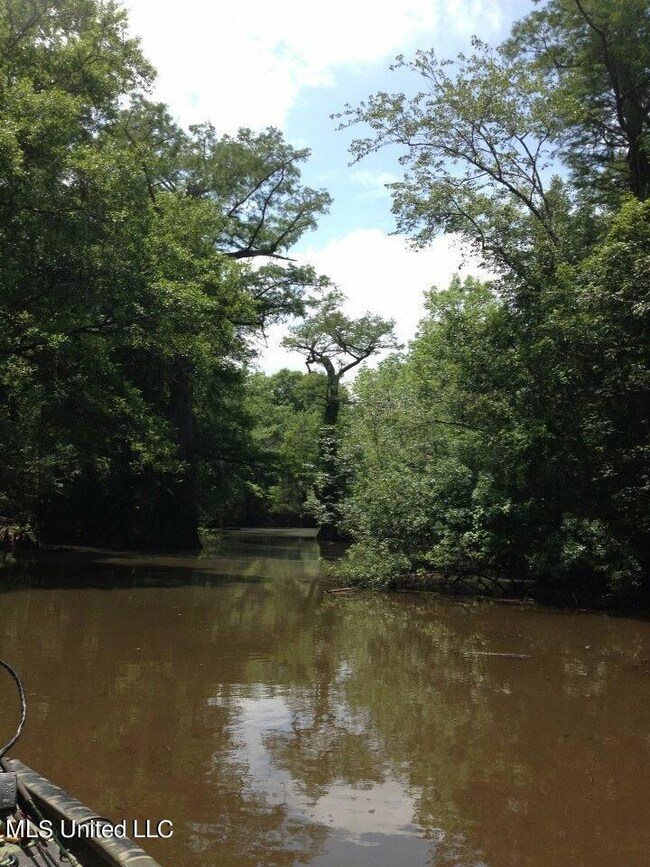 Nhn Cochran, Moss Point, MS 39562 - photo 4