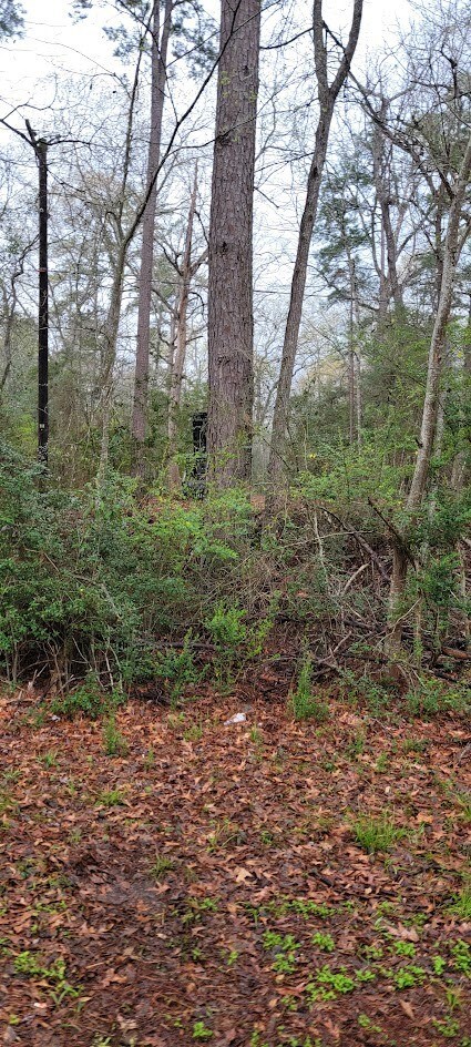 000 Old Highway 59, Lufkin, TX 75904 - photo 4