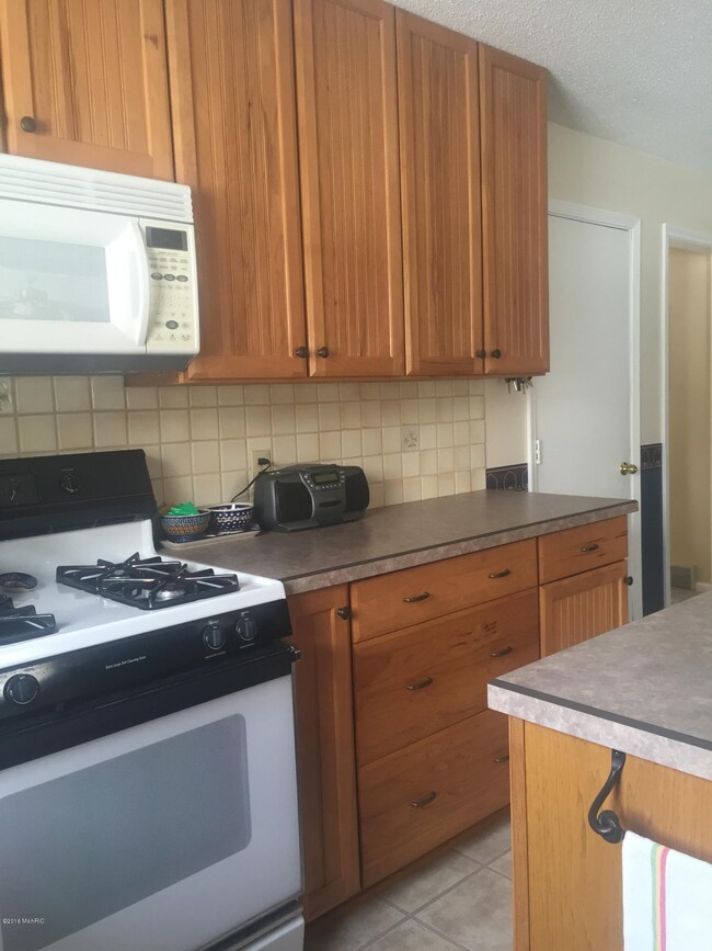 355 Apache Dr, Fremont, MI 49412 - photo 4