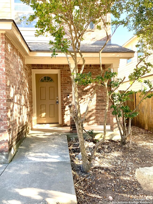 11110 Catchfly Field, Helotes, TX 78023 - photo 3