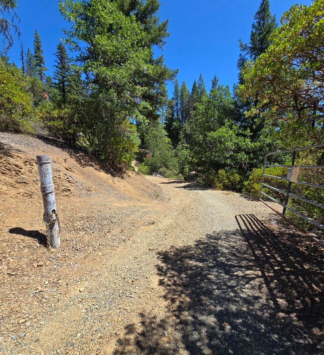 20310 California 36, Hayfork, CA 96041 - photo 3