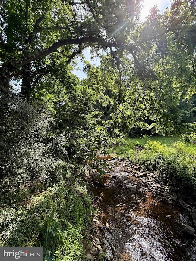 12954 Lanes Run Rd, Big Pool, MD 21711 - photo 3