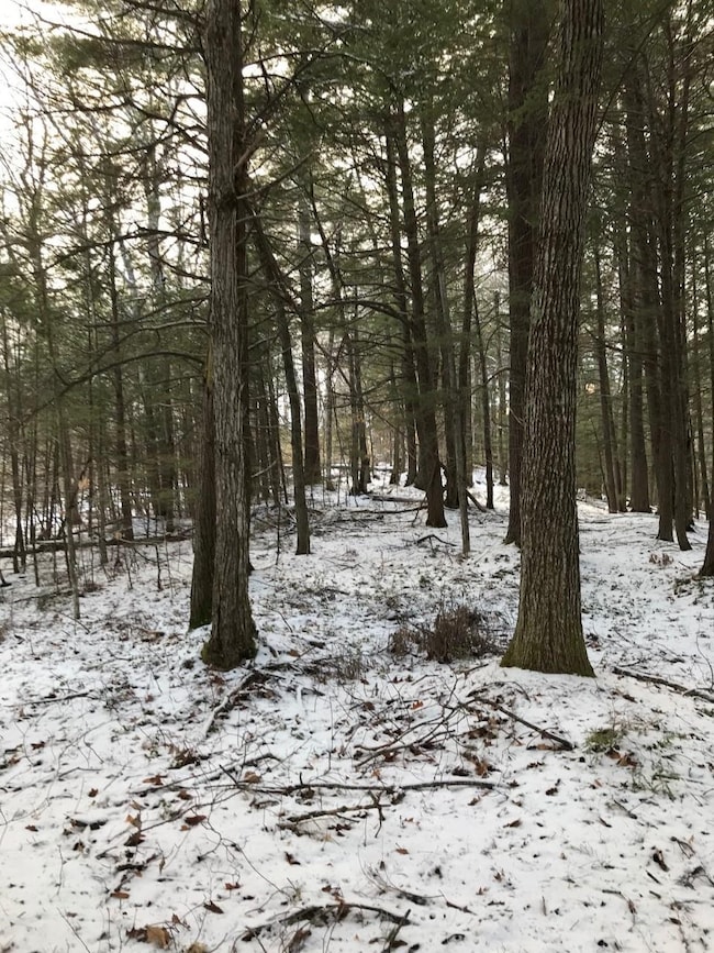 11 Conner Pond Rd, Center Ossipee, NH 03814 - photo 3