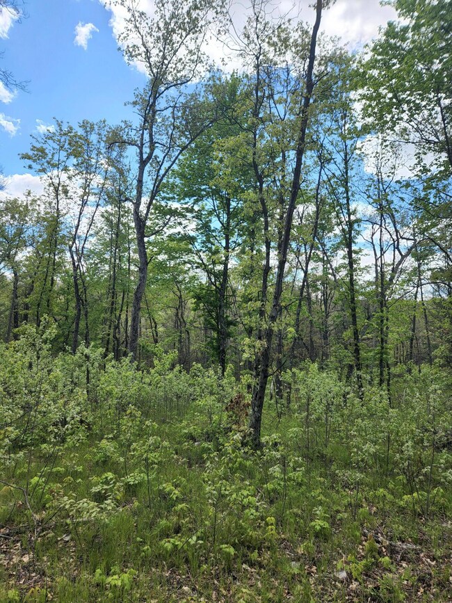 9577 N Woodbridge Dr Ave, Bitely, MI 49309 - photo 6