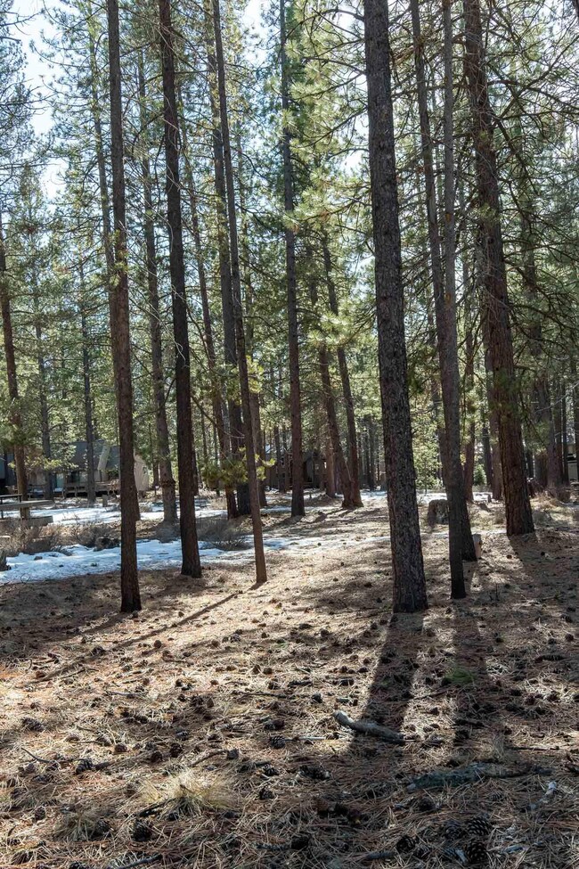 17853 Pine Mountain Ln, Sunriver, OR 97707 - photo 4