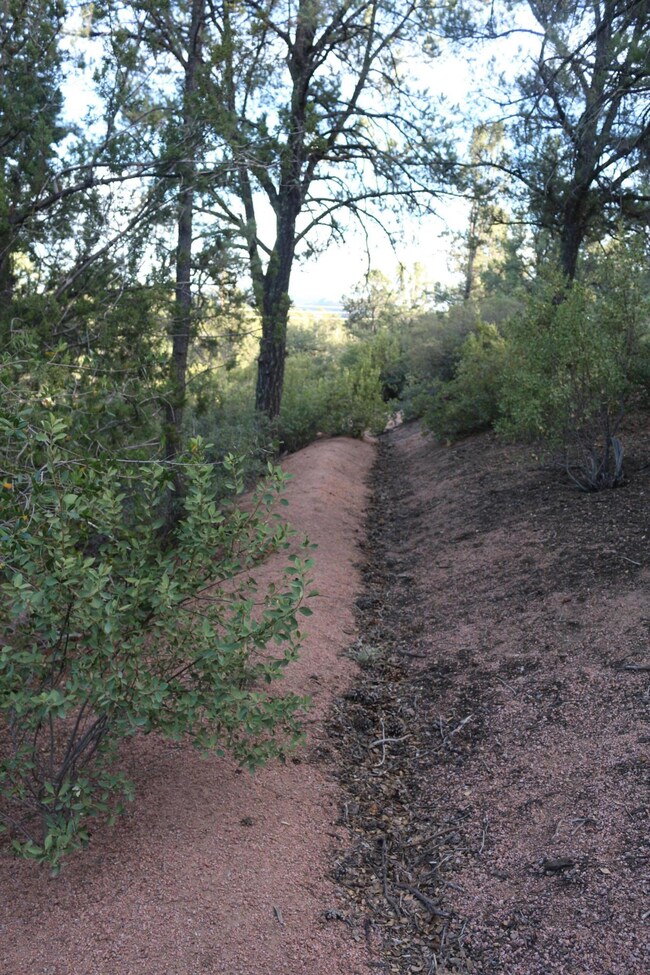 711 W Forest Dr unit 1, Payson, AZ 85541 - photo 7