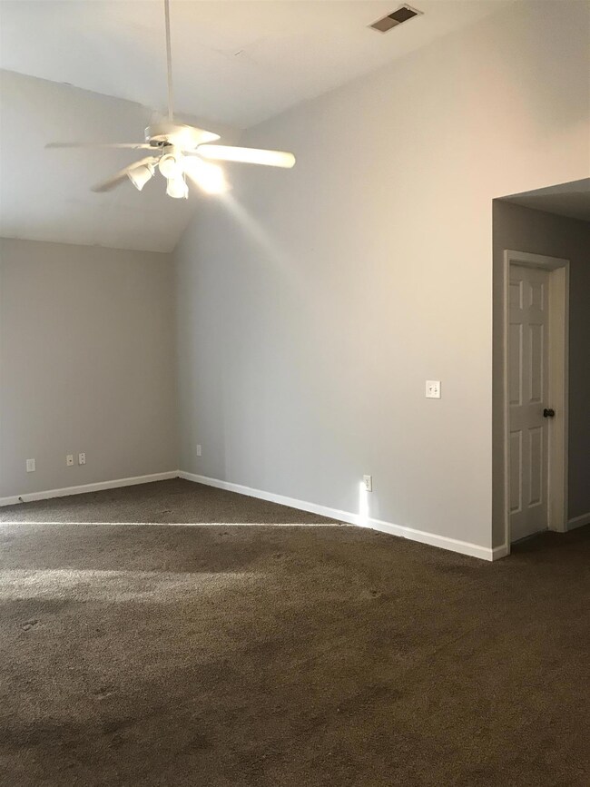 lots of natural sunlight